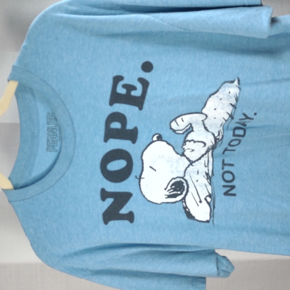 Peanuts Snoopy T Shirt Short Sleeve Size Large 50/50 cotton poly Blue Cut Hem - Picture 2 of 7